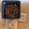 Kit de siembra + 50 semillas de Lithops mixtas