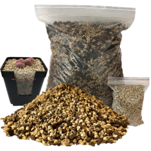 1 kg Sustrato para Cactus/Suculentas + piedrecillas