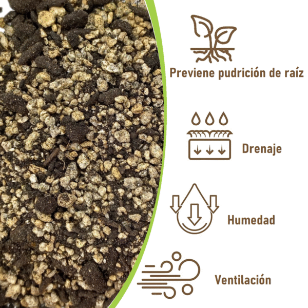 1 kg Sustrato para Lithops/Aizoáceas/Cactus + piedrecillas