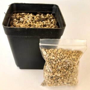 Kit Trasplante: Sustrato + Piedras Drenaje + Maceta