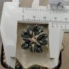 ArHy01BxK_PI3 Ariocarpus bra. x kotscho. cv "Lizard Skin" injertado