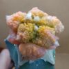 Ariocarpus fissuratus cv. Godzilla f. var