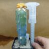 Ariocarpus fissuratus cv. Godzilla f. var