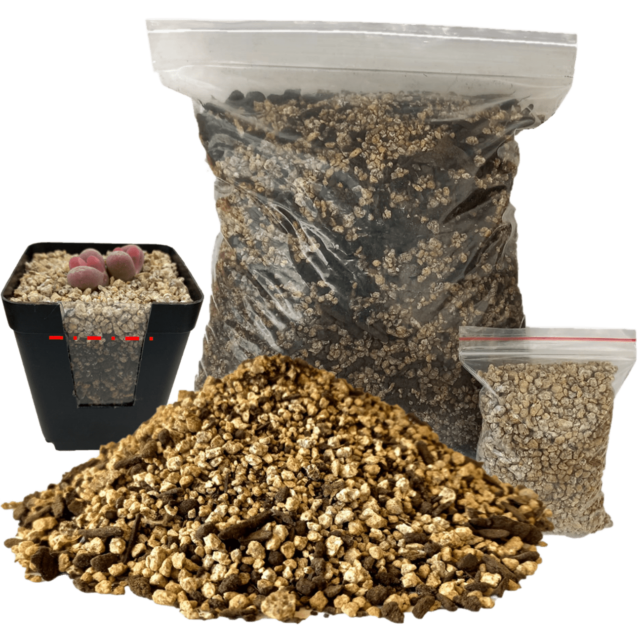 1 kg Sustrato para Cactus/Suculentas + piedrecillas