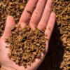1 kg Granito amarillo 3-6 mm