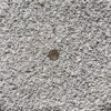 1 kg Granito blanco ceniza 3-6 mm