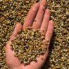 1 kg Granito de primer Fulget 3-5 mm